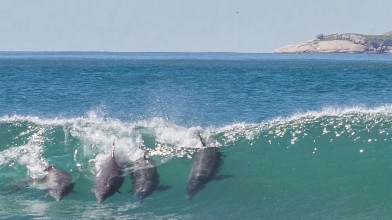 Photo of Others in Laguna