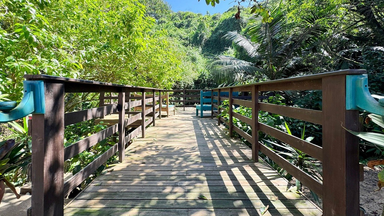 Photo of Outdoor in Laguna