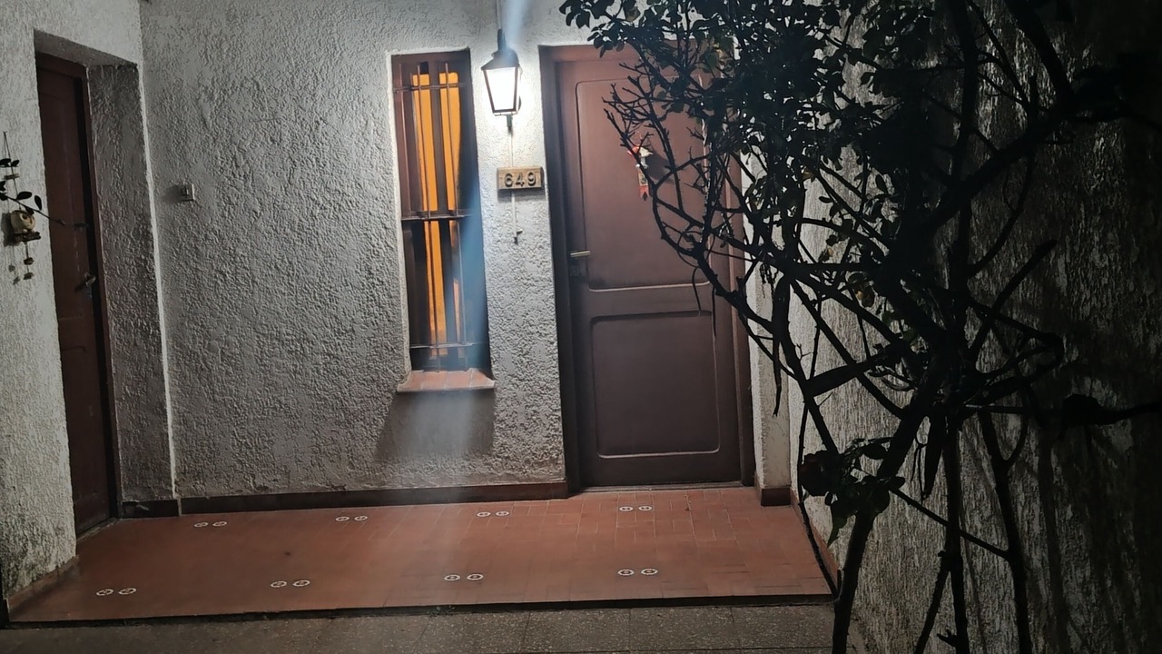 Photo of Outdoor in Santa Rosa