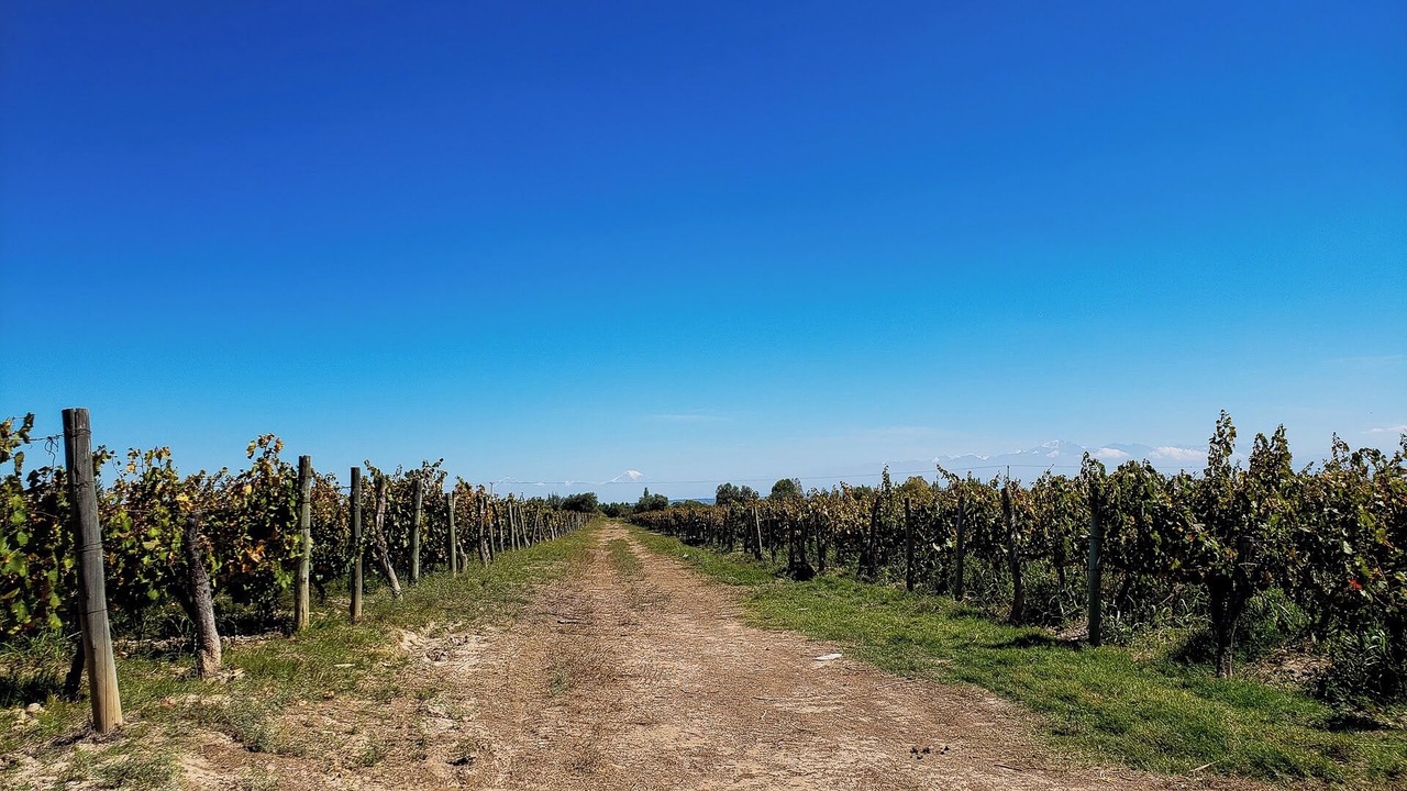 Photo of Others in Junin Department
