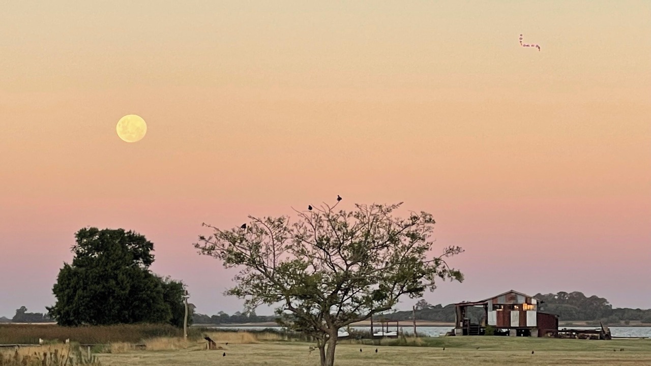 Photo of Outdoor in Lobos