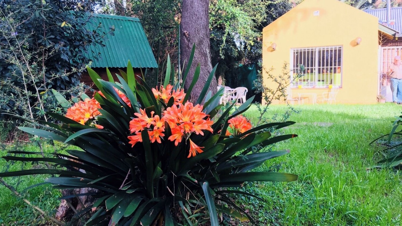 Photo of Outdoor in Benavidez