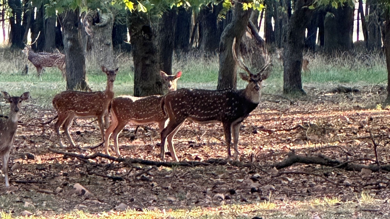 Photo of Others in Carmen de Areco