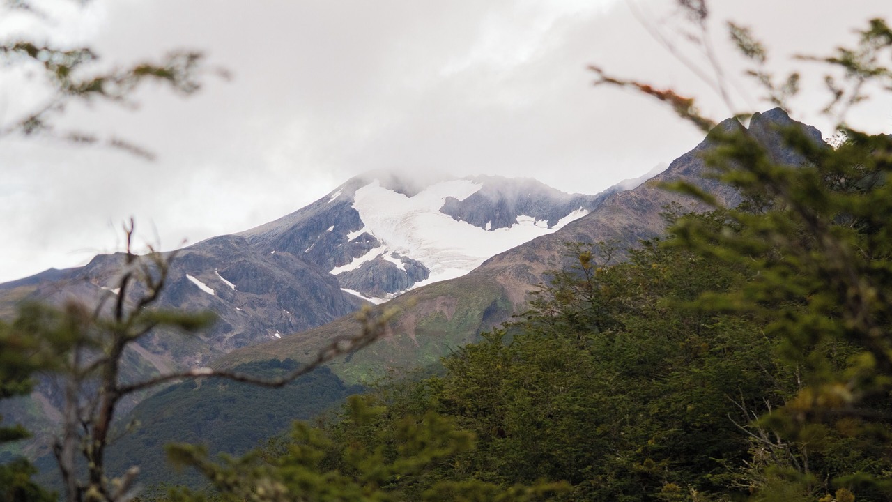 Photo of Others in Province of Tierra del Fuego