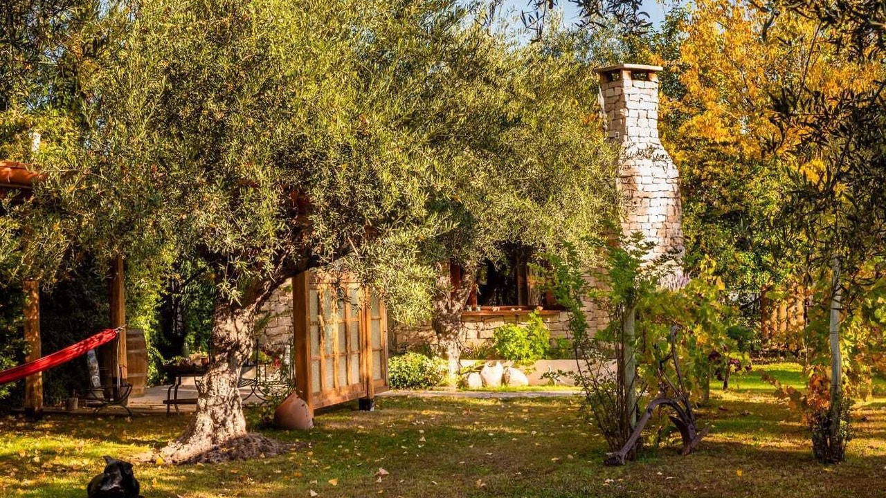 Photo of Outdoor in Chacras de Coria
