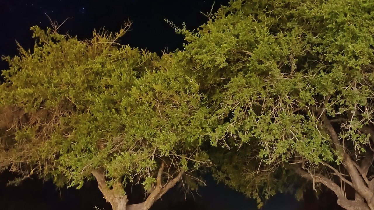 Photo of Outdoor in San Javier Department