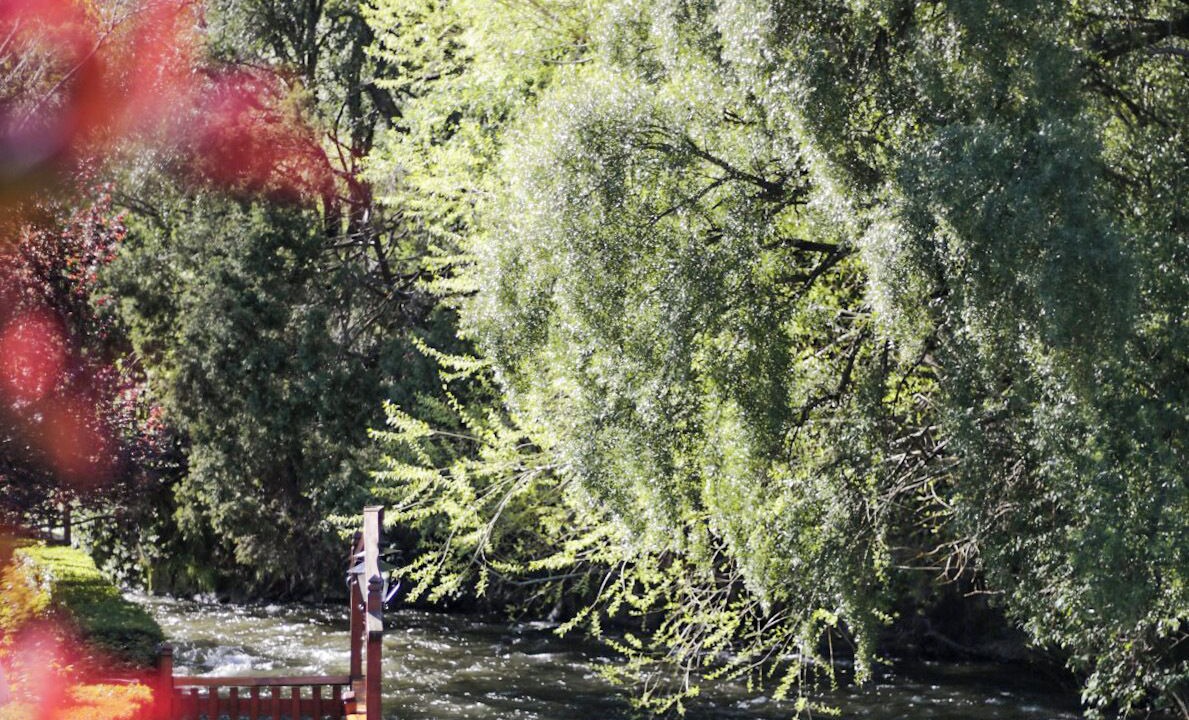 Photo of Outdoor in San Martin de los Andes