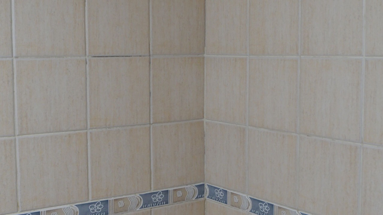Photo of Bathroom in San Rafael