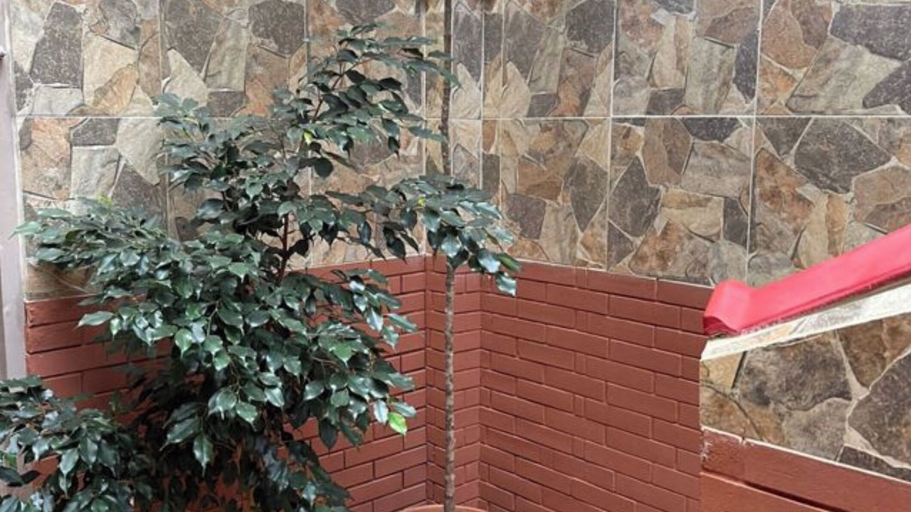 Photo of Outdoor in Salta