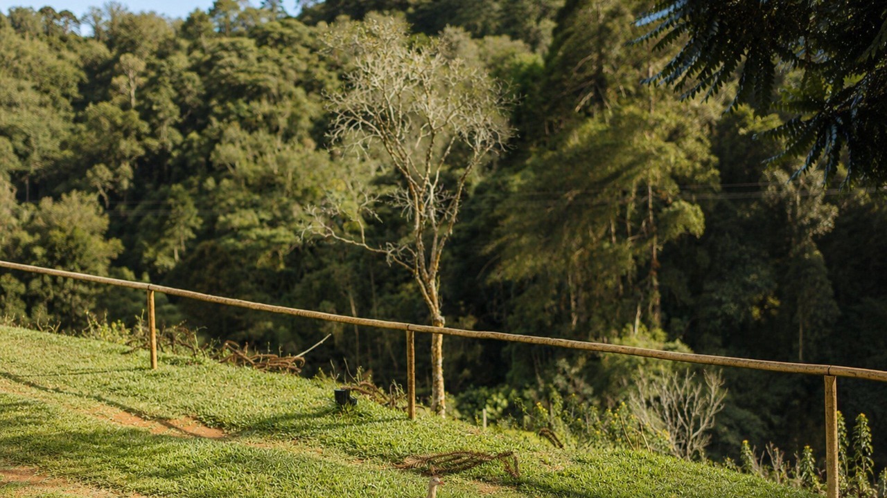 Photo of Outdoor in Goncalves