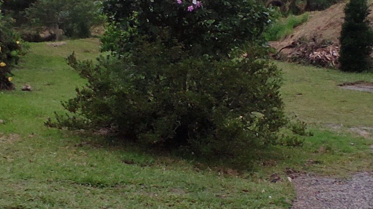 Photo of Outdoor in Imarui