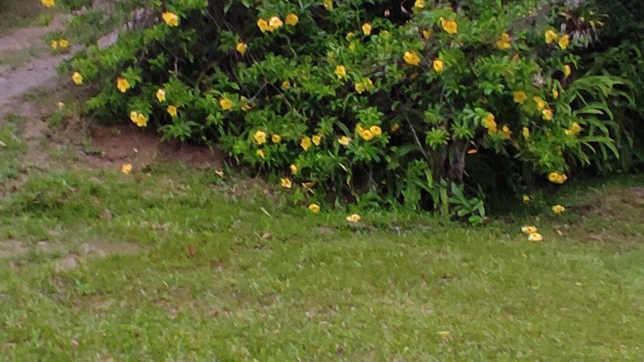 Photo of Outdoor in Imarui