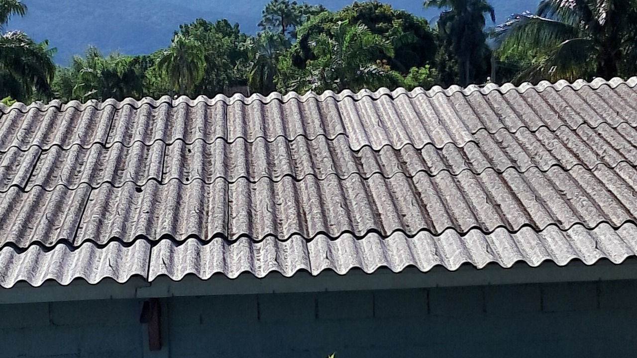 Photo of Others in Pedrinhas