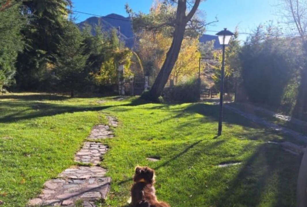 Photo of Outdoor in Potrerillos
