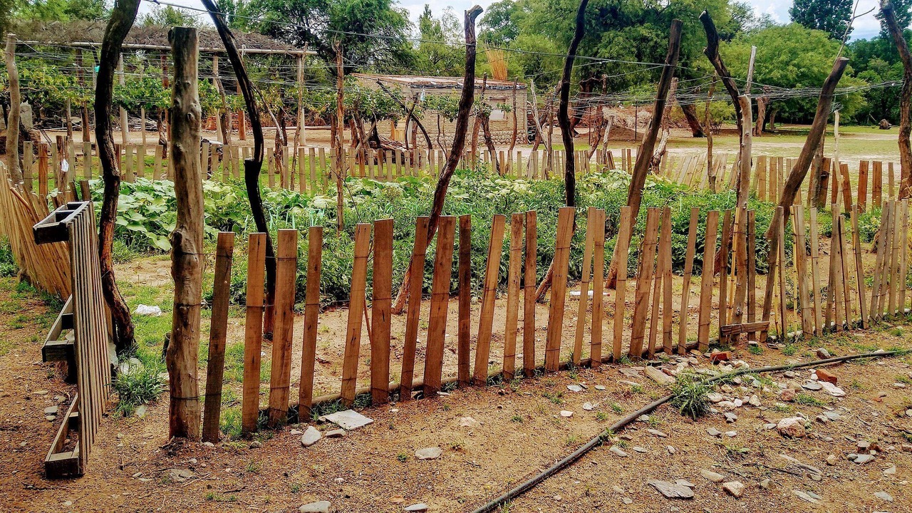 Photo of Outdoor in Santa Maria