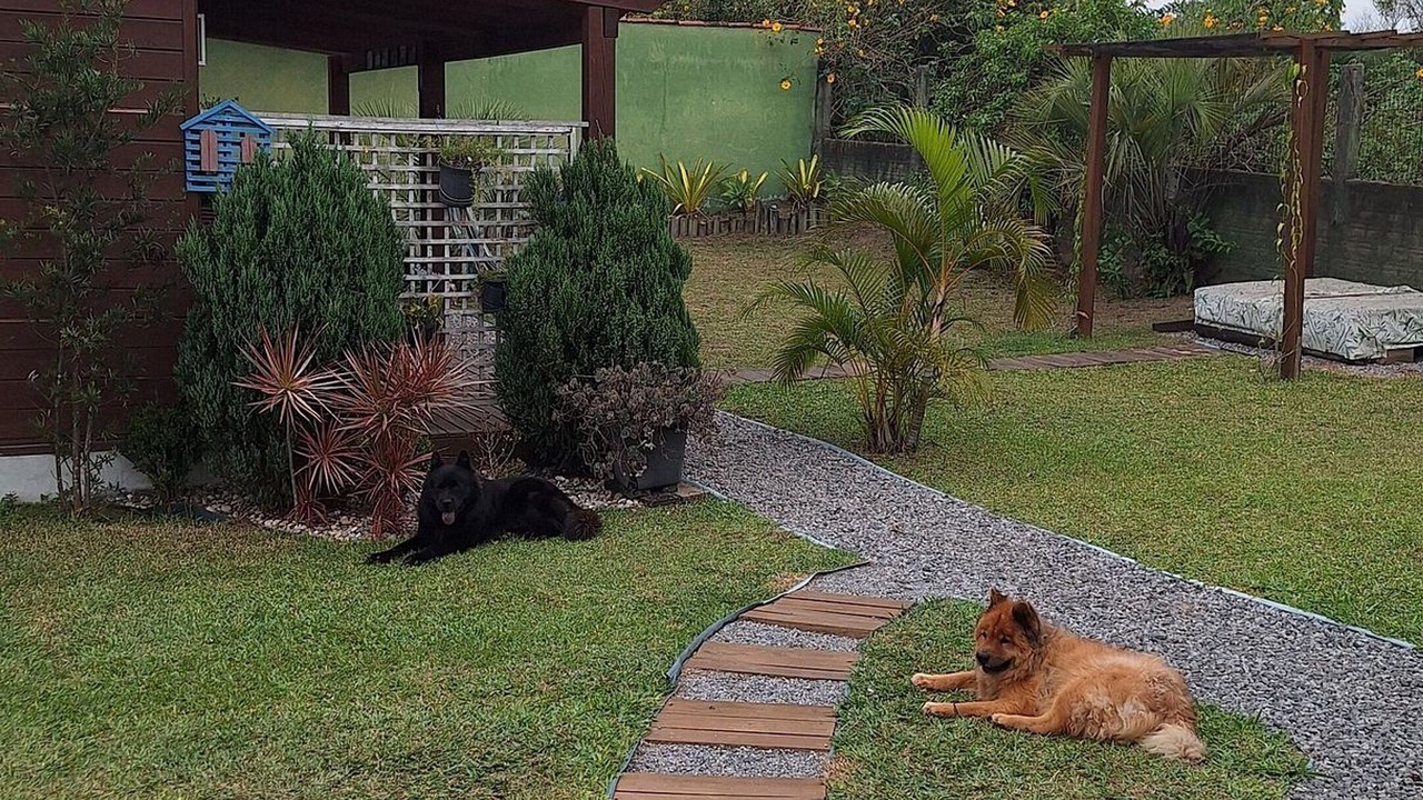 Photo of Outdoor in Praia do Rosa