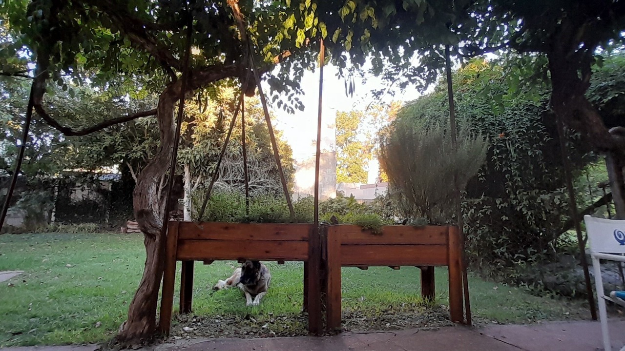 Photo of Outdoor in Muniz
