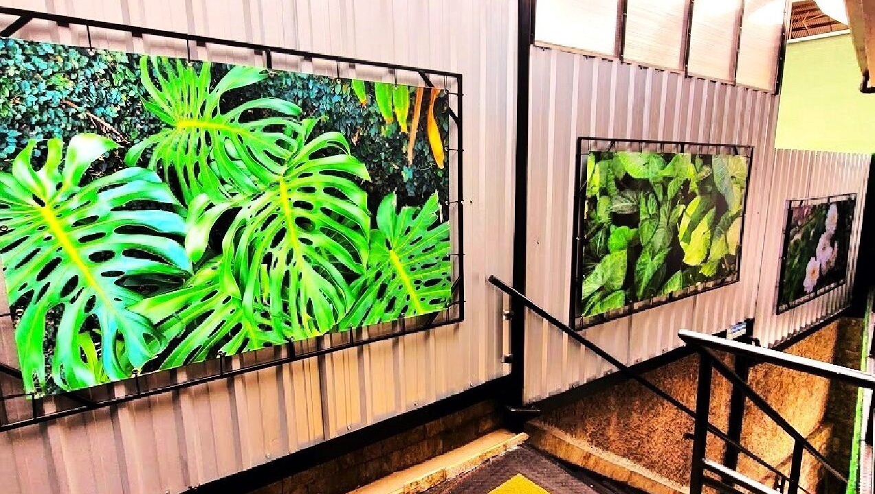Photo of Outdoor in Regiao Urbana Homogenea XIV