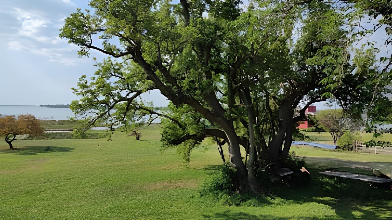 Photo of Outdoor in Ramallo