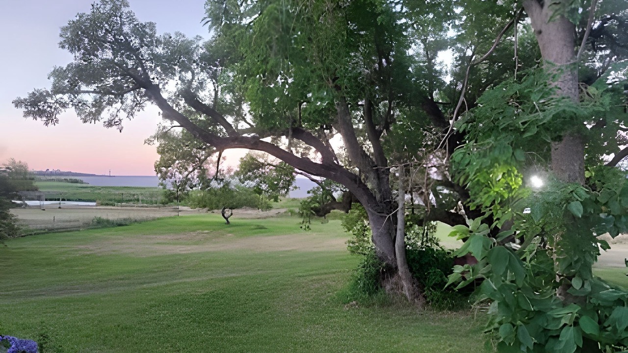 Photo of Others in Ramallo