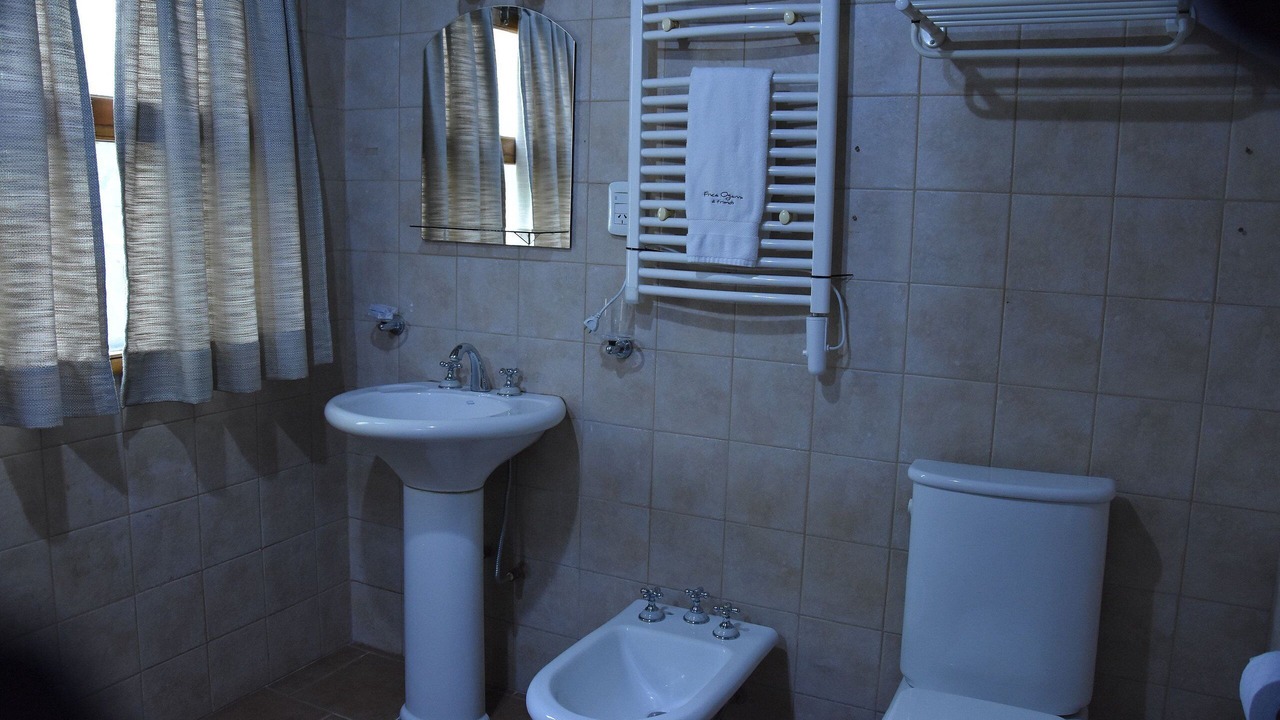 Photo of Bathroom in Tunuyan