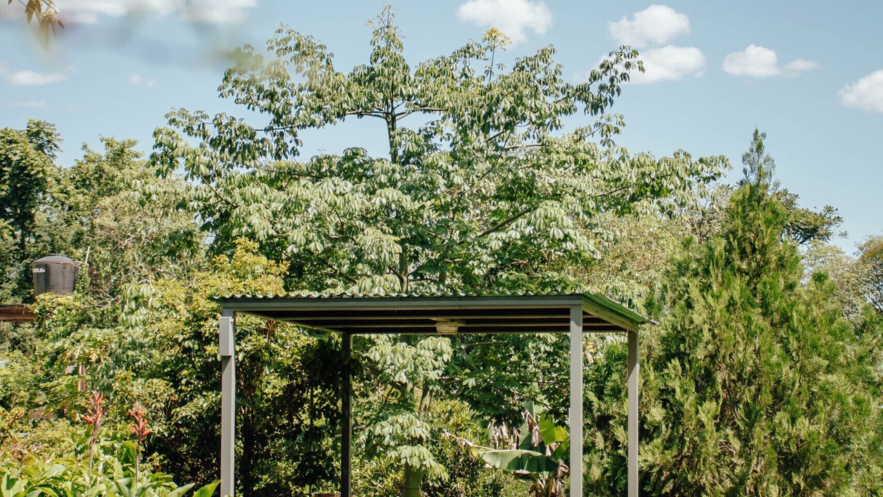 Photo of Outdoor in Zona Granja