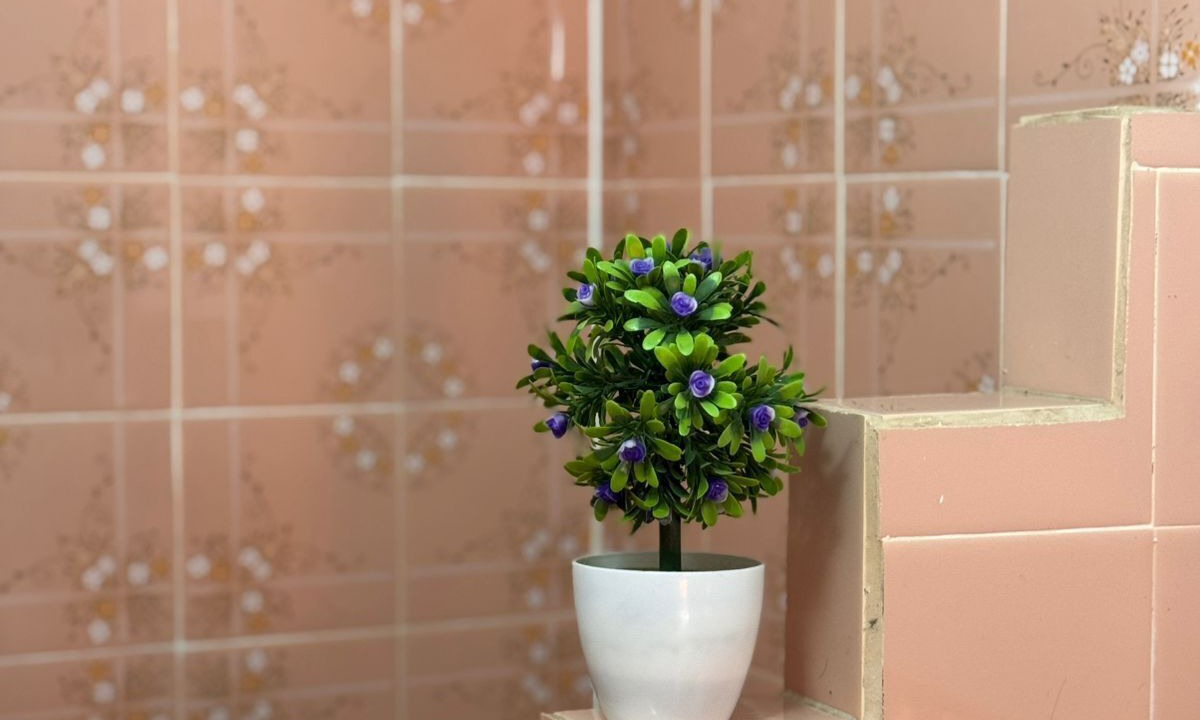 Photo of Bathroom in Concepcion del Uruguay