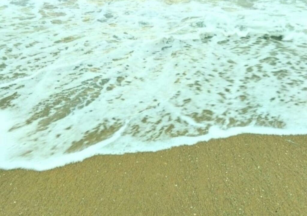 Photo of Others in Campeche Sul