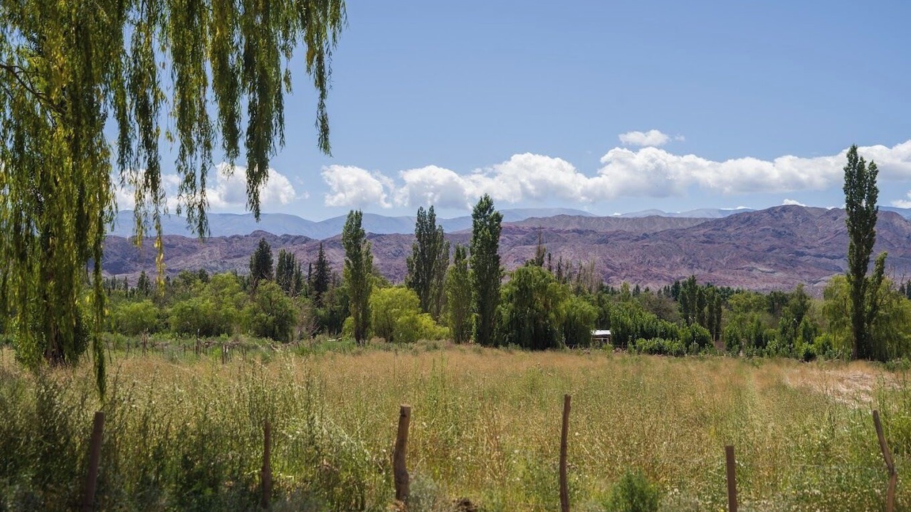 Photo of Others in Barreal