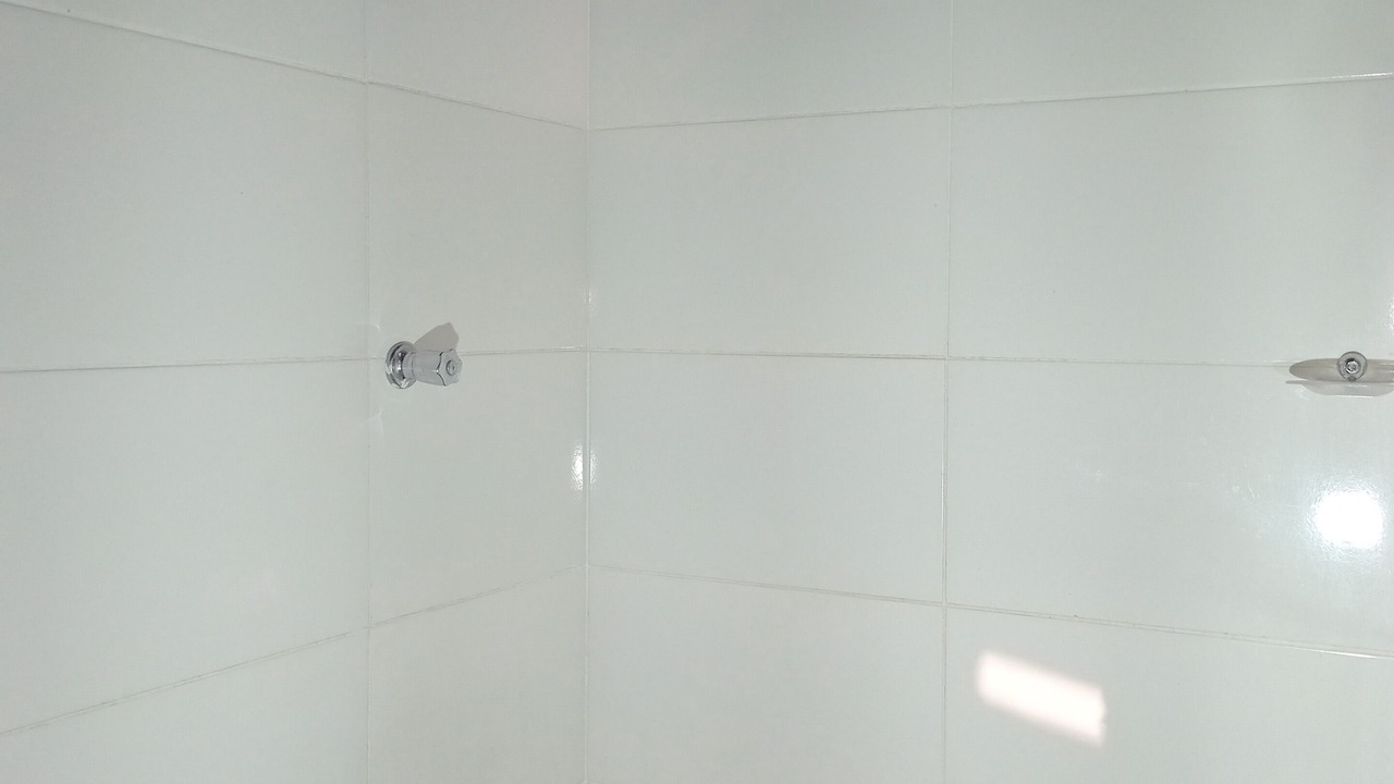 Photo of Bathroom in Novo Gama