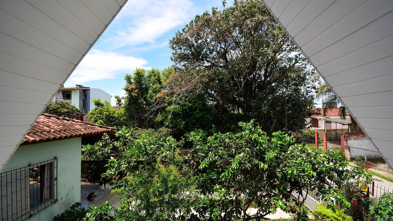 Photo of Outdoor in Ingleses do Rio Vermelho