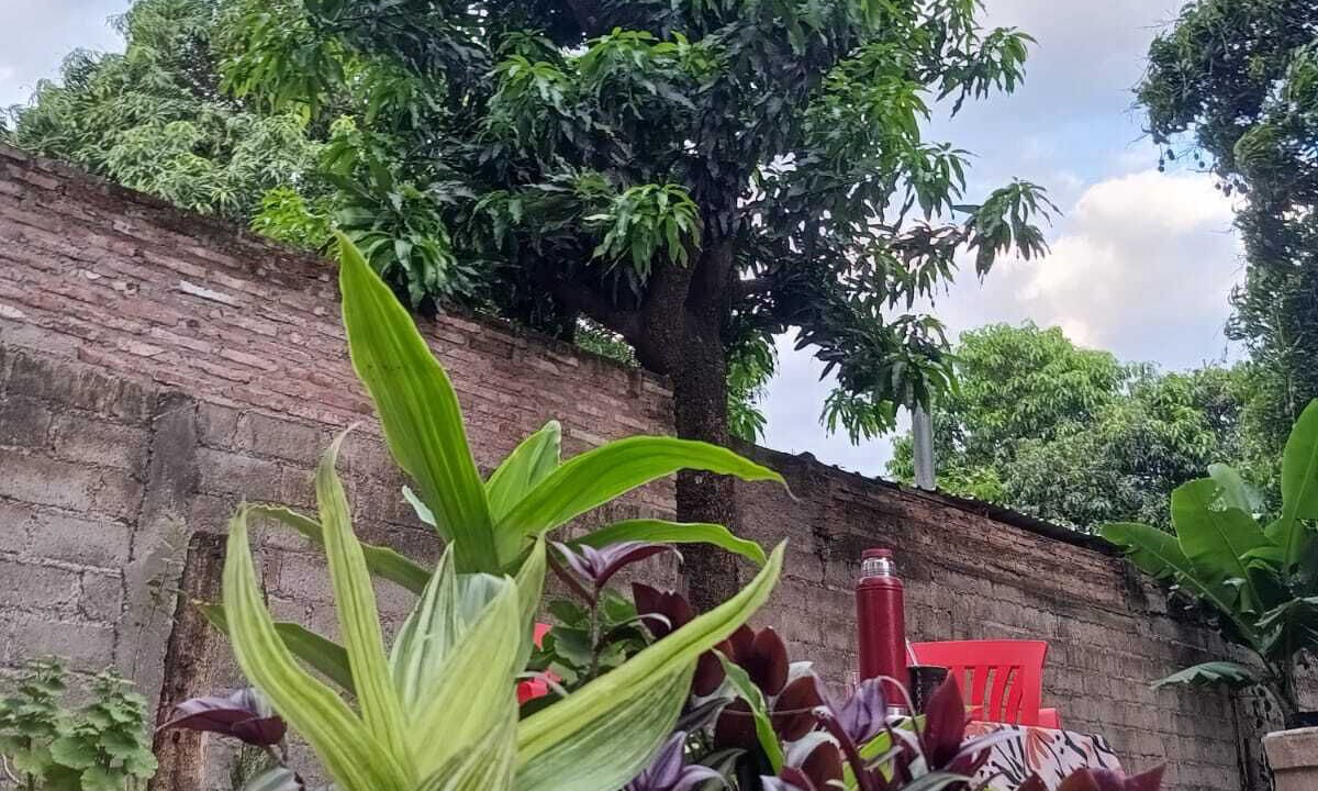 Photo of Outdoor in Calilegua