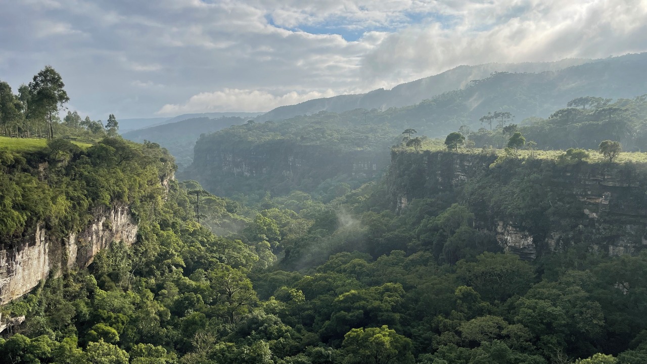 Photo of Outdoor in Alfredo Wagner