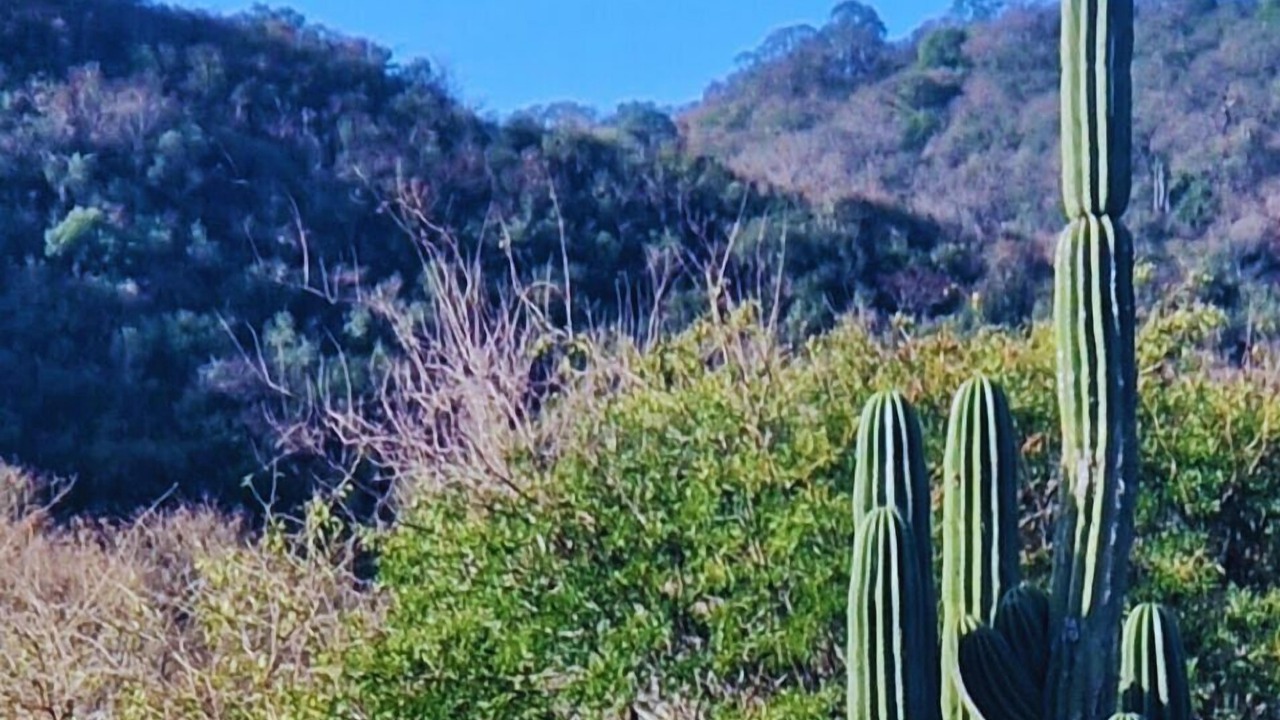 Photo of Others in Santa Barbara Department