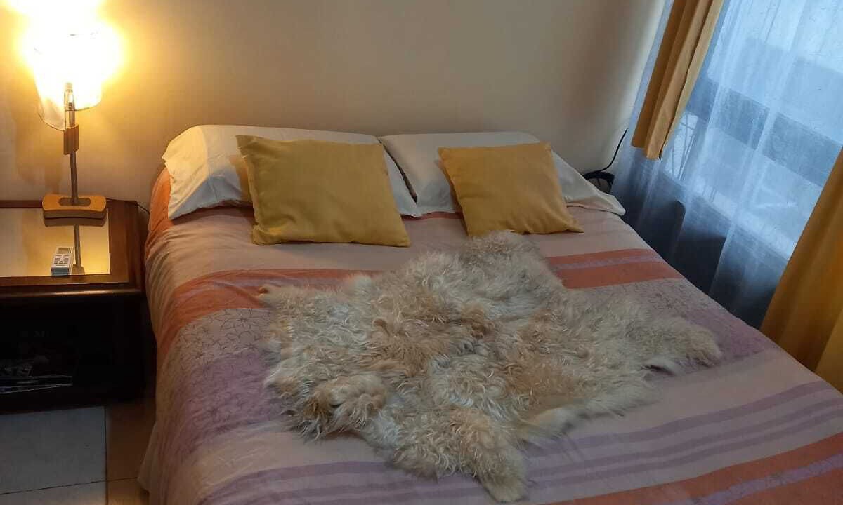 Photo of Bedroom in Retiro