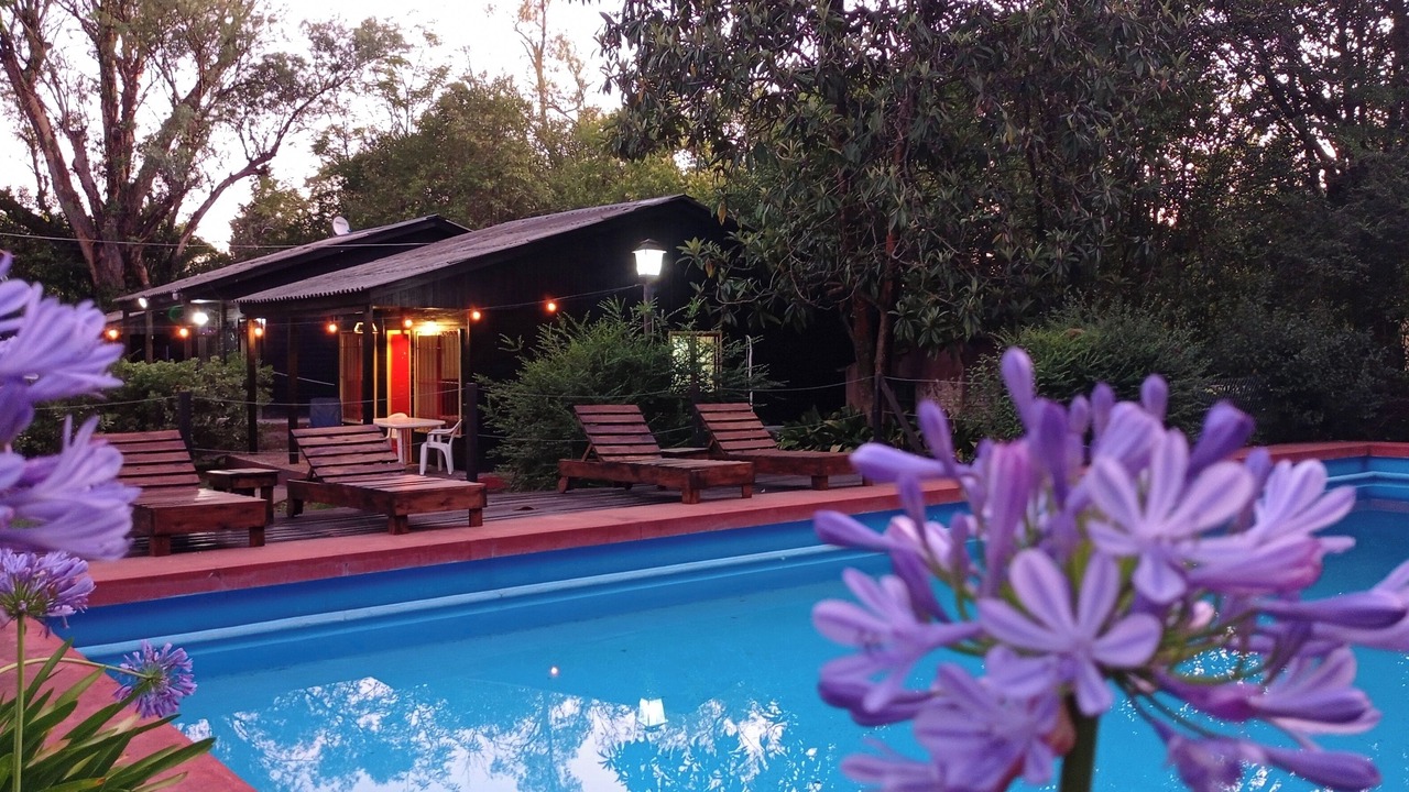 Photo of Outdoor in La Lonja