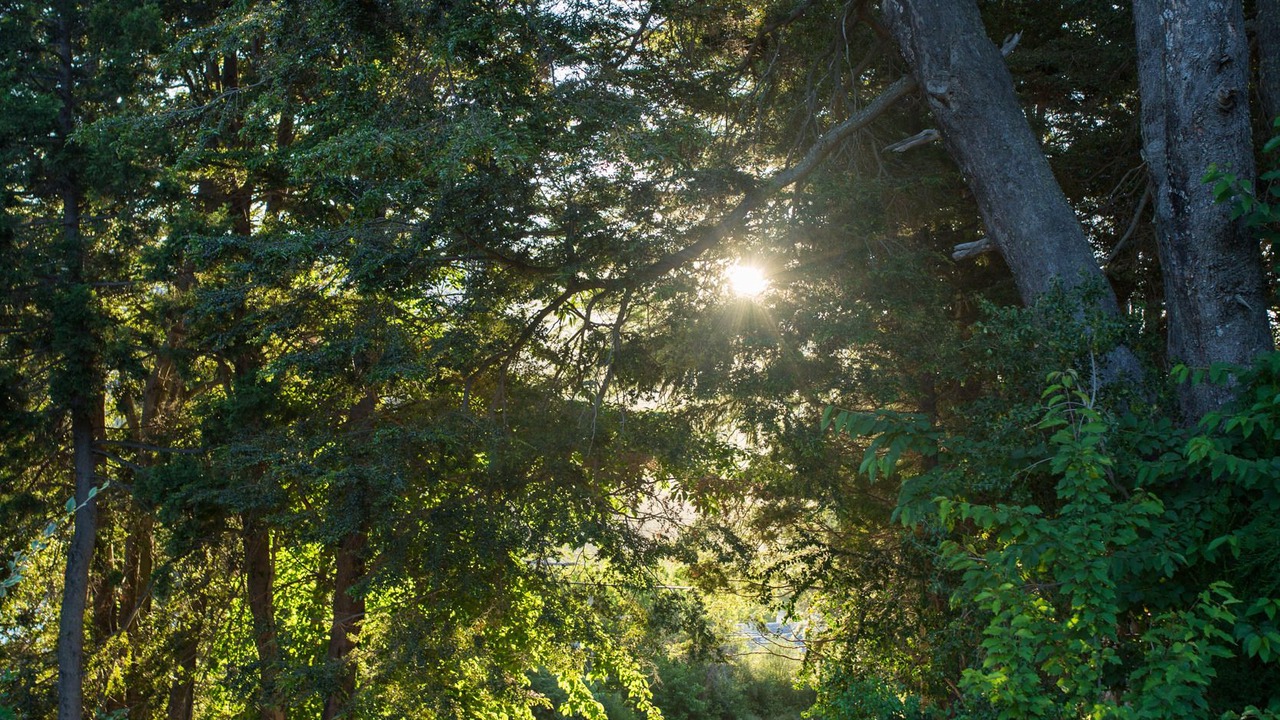 Photo of Outdoor in San Carlos de Bariloche