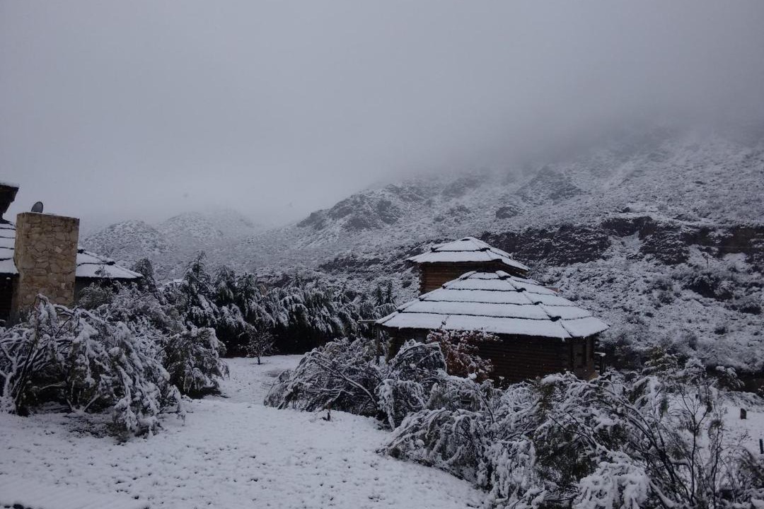 Photo of Others in Potrerillos