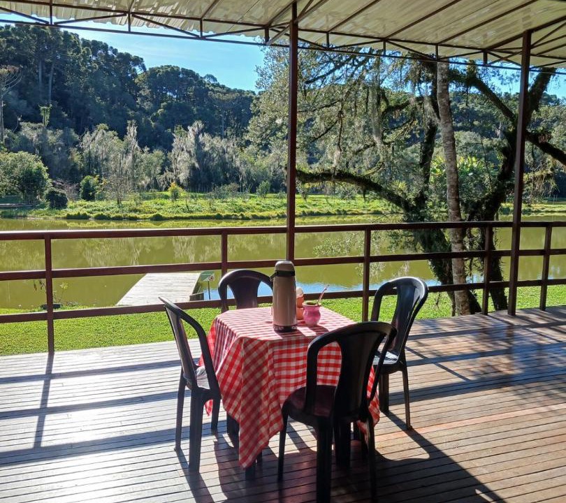Photo of Others in Araucaria