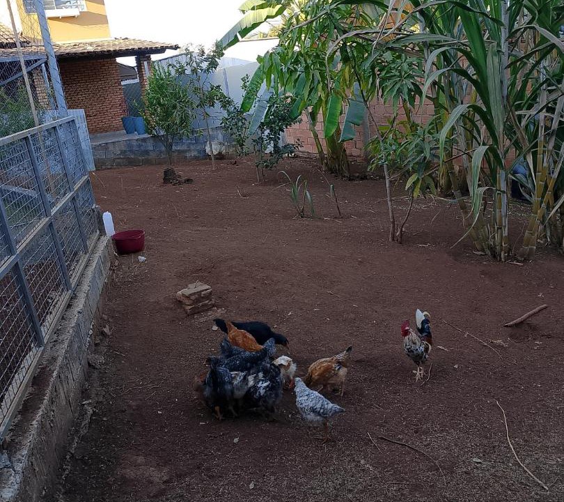 Photo of Others in Vespasiano