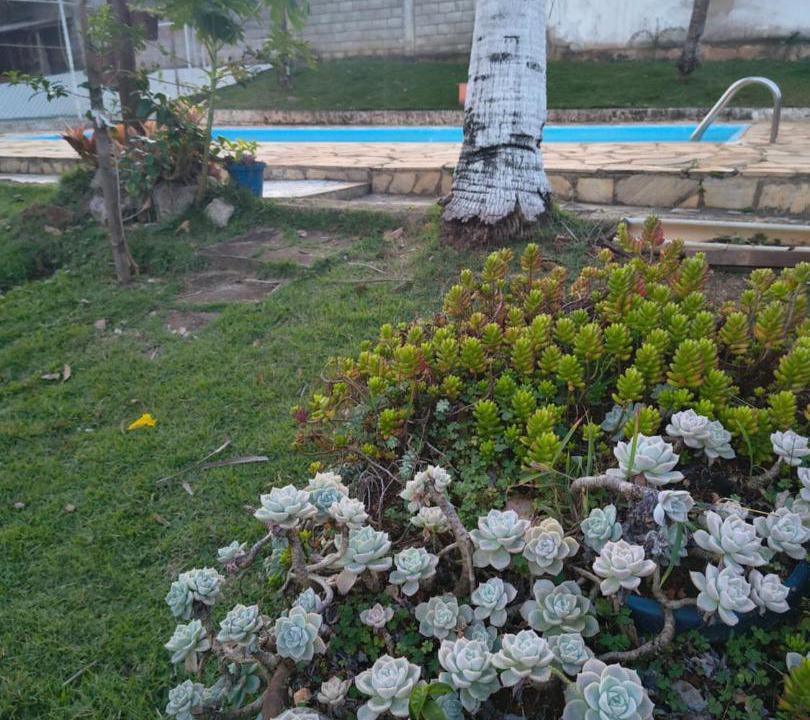 Photo of Others in Juatuba