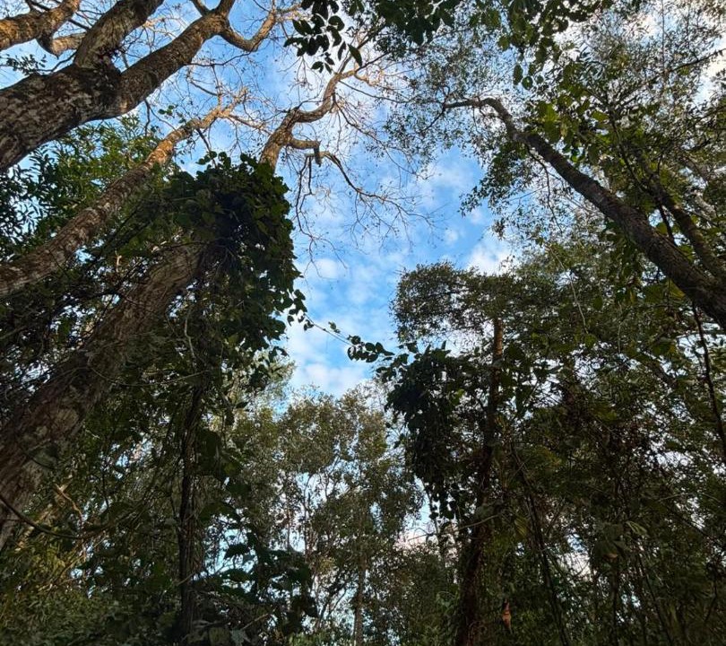 Photo of Others in El Soberbio