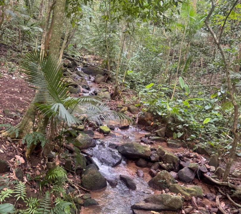 Photo of Others in Rio Bonito