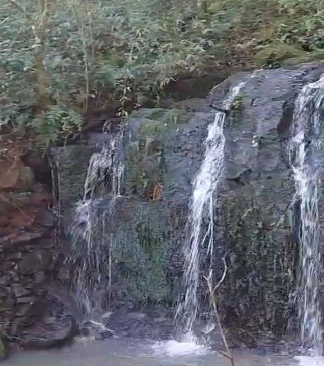 Photo of Others in Nova Petropolis