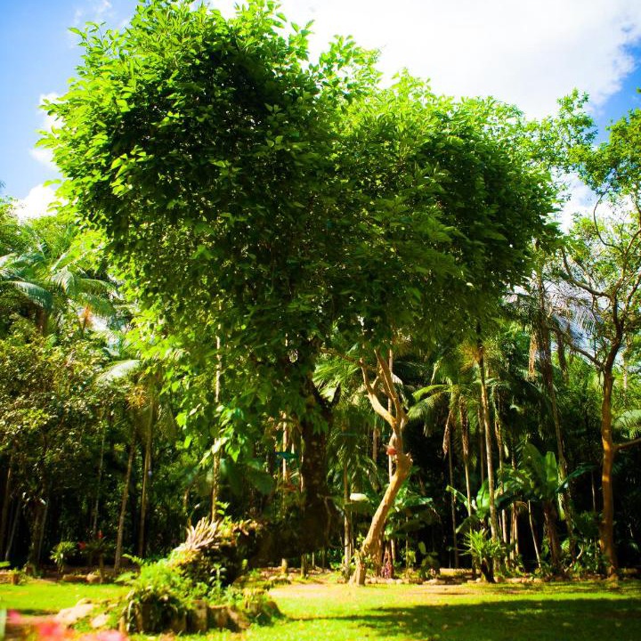 Photo of Outdoor in Iporanga