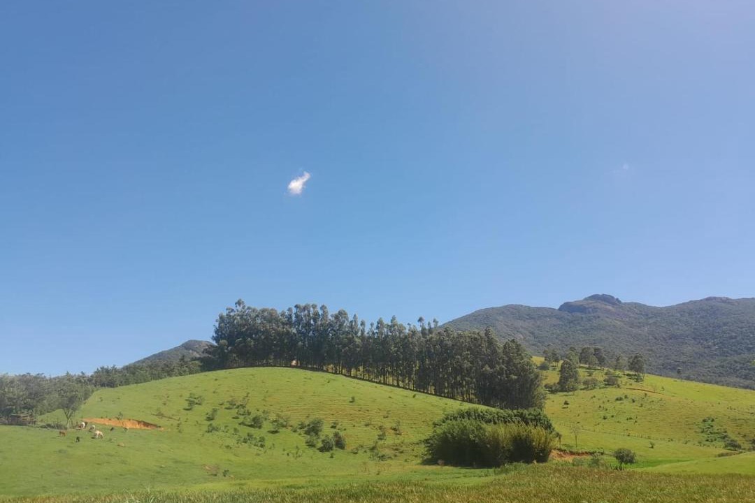 Photo of Others in Joanopolis