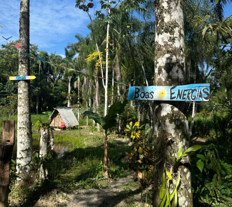 Photo of Others in Juquia