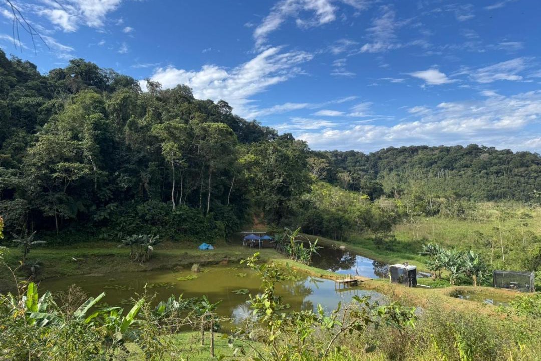 Photo of Others in Peruibe