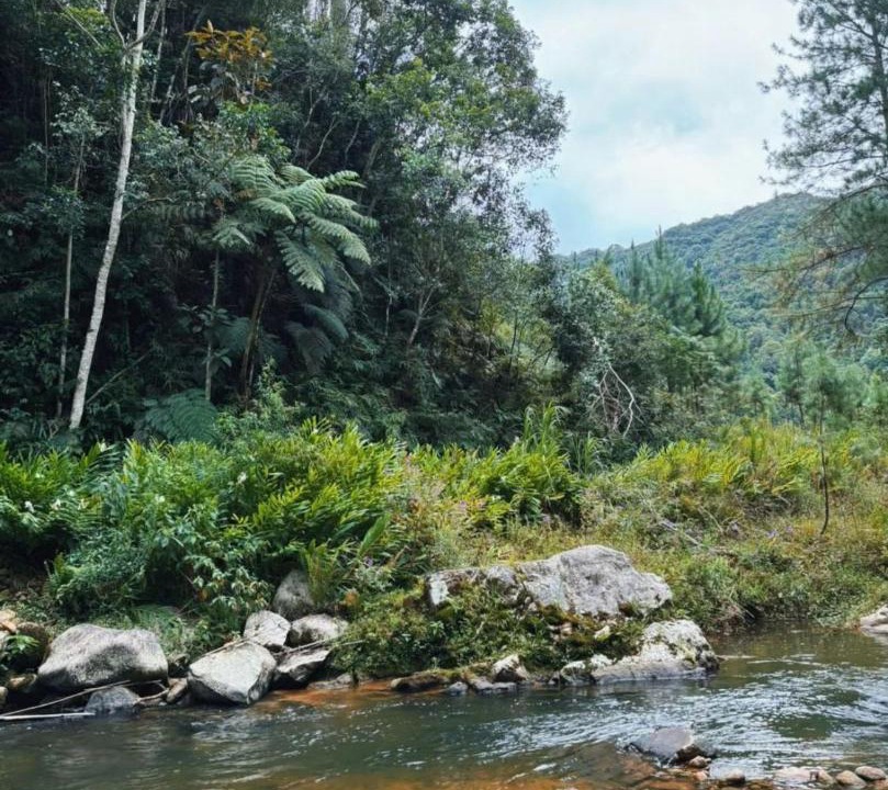 Photo of Others in Aguas Mornas