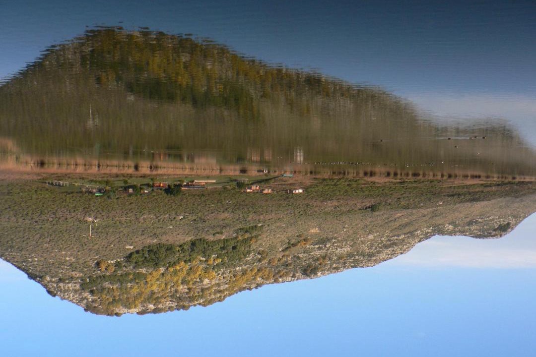 Photo of Human In Picture in Laguna Brava